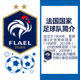 法国国家足球队标志及简介