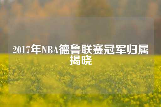 2017年NBA德鲁联赛冠军归属揭晓