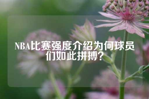 NBA比赛强度介绍为何球员们如此拼搏？-第1张图片-皇冠信用盘出租