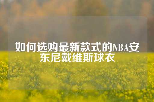 如何选购最新款式的NBA安东尼戴维斯球衣