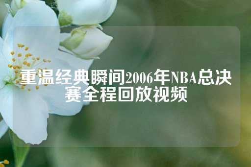 重温经典瞬间2006年NBA总决赛全程回放视频-第1张图片-皇冠信用盘出租