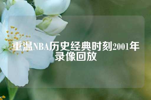 重温NBA历史经典时刻2001年录像回放-第1张图片-皇冠信用盘出租