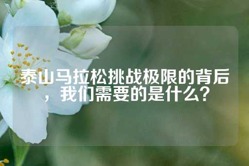 泰山马拉松挑战极限的背后，我们需要的是什么？-第1张图片-皇冠信用盘出租