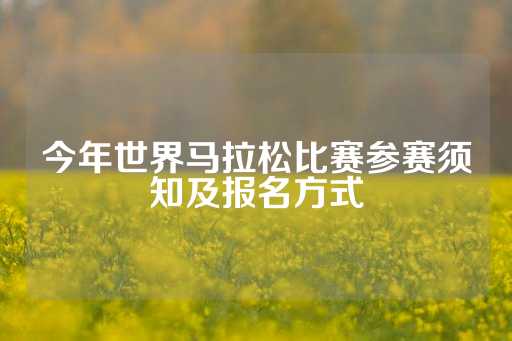 今年世界马拉松比赛参赛须知及报名方式-第1张图片-皇冠信用盘出租