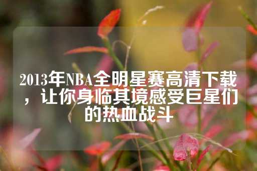 2013年NBA全明星赛高清下载，让你身临其境感受巨星们的热血战斗