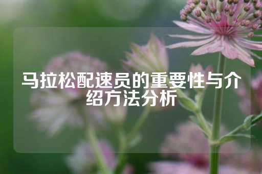 马拉松配速员的重要性与介绍方法分析-第1张图片-皇冠信用盘出租