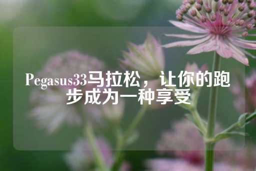 Pegasus33马拉松，让你的跑步成为一种享受