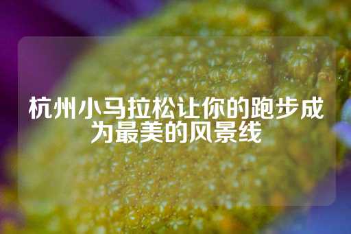 杭州小马拉松让你的跑步成为最美的风景线-第1张图片-皇冠信用盘出租