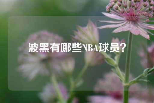 波黑有哪些NBA球员？-第1张图片-皇冠信用盘出租