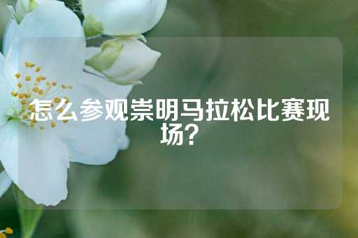 怎么参观崇明马拉松比赛现场？