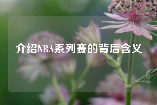 介绍NBA系列赛的背后含义