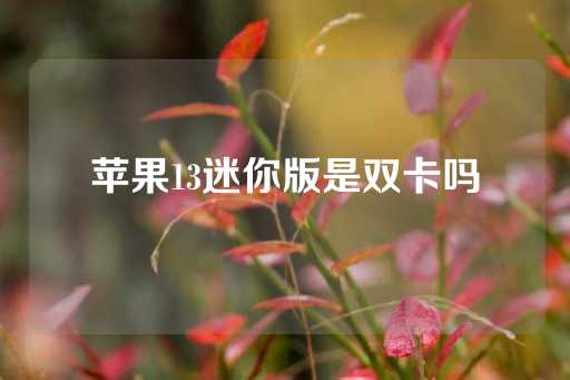 苹果13迷你版是双卡吗-第1张图片-皇冠信用盘出租