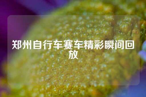 郑州自行车赛车精彩瞬间回放