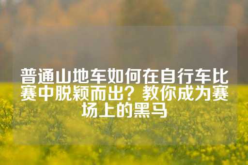 普通山地车如何在自行车比赛中脱颖而出？教你成为赛场上的黑马