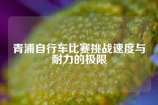 青浦自行车比赛挑战速度与耐力的极限