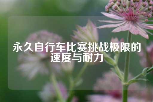 永久自行车比赛挑战极限的速度与耐力