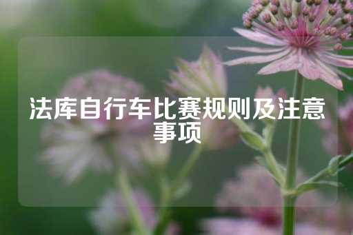 法库自行车比赛规则及注意事项-第1张图片-皇冠信用盘出租