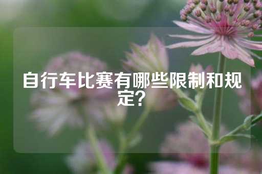 自行车比赛有哪些限制和规定？-第1张图片-皇冠信用盘出租