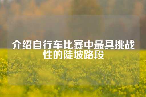 介绍自行车比赛中最具挑战性的陡坡路段