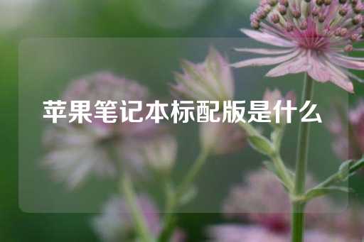 苹果笔记本标配版是什么-第1张图片-皇冠信用盘出租