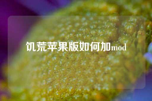 饥荒苹果版如何加mod