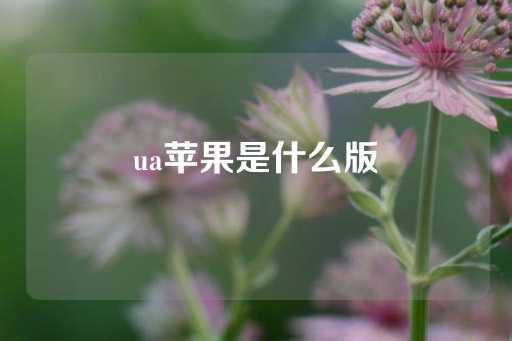 ua苹果是什么版-第1张图片-皇冠信用盘出租