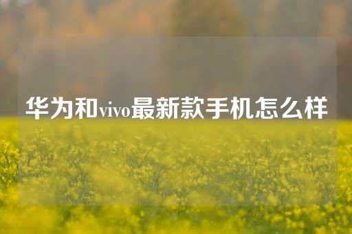 华为和vivo最新款手机怎么样