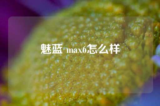 魅蓝 max6怎么样