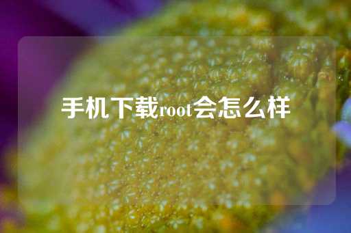 手机下载root会怎么样-第1张图片-皇冠信用盘出租