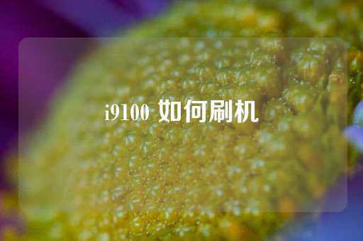 i9100 如何刷机-第1张图片-皇冠信用盘出租