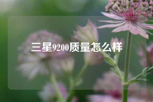 三星9200质量怎么样-第1张图片-皇冠信用盘出租