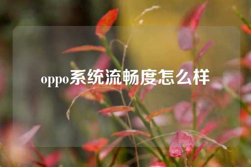 oppo系统流畅度怎么样