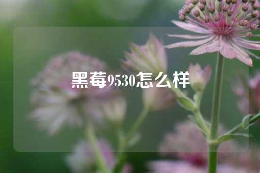 黑莓9530怎么样-第1张图片-皇冠信用盘出租