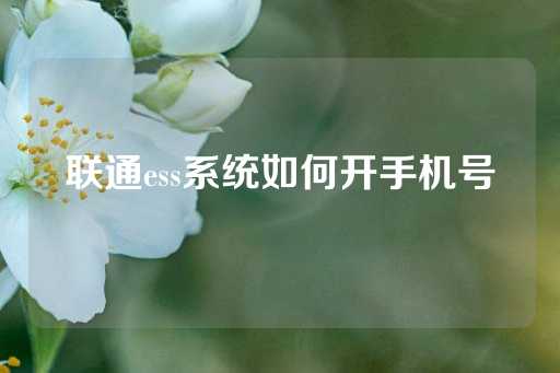 联通ess系统如何开手机号-第1张图片-皇冠信用盘出租