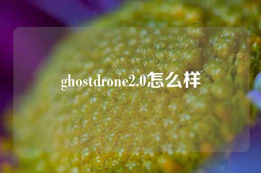 ghostdrone2.0怎么样-第1张图片-皇冠信用盘出租