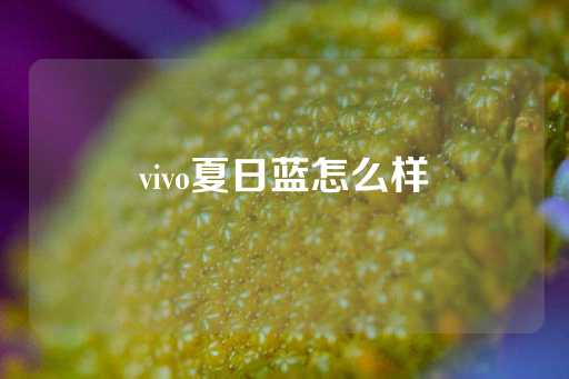 vivo夏日蓝怎么样