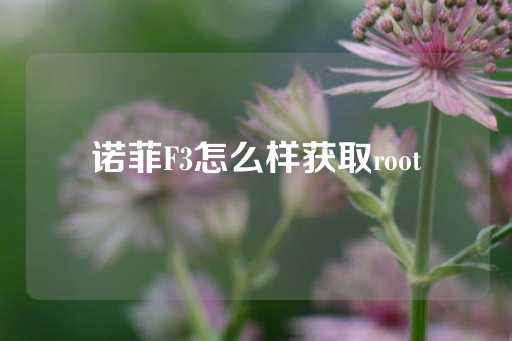 诺菲F3怎么样获取root