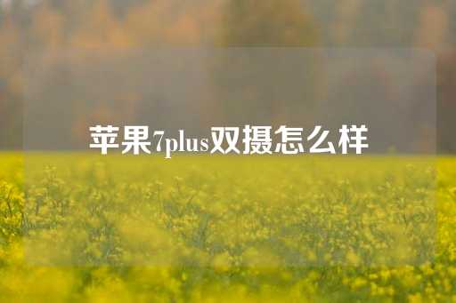 苹果7plus双摄怎么样