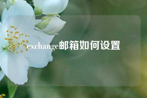 exchange邮箱如何设置-第1张图片-皇冠信用盘出租