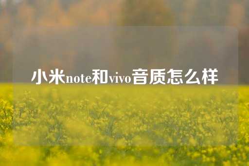 小米note和vivo音质怎么样