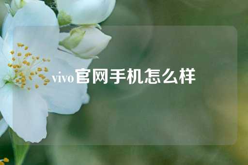 vivo官网手机怎么样